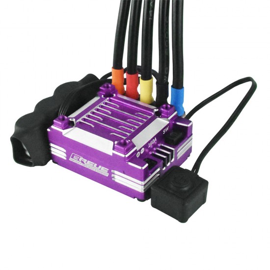 Reve D RD SPEC ESC Breve Purple [RE-BRVP]