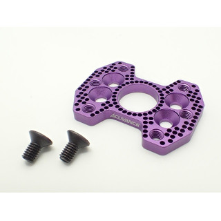 Acuvance Multi-angle 540-380 Conversion Plate Purple [OP-15147]