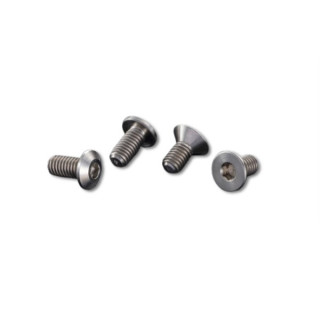 AXON CNC TITANIUM SCREW(Low button head M4x12 4pic) [NTC-B4-121]