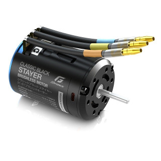 G-Force Classic Black Stayer Brushless Motor (21.5T) [G0423]