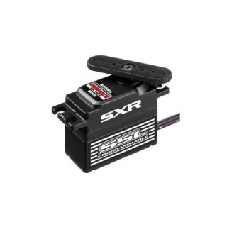 Sanwa PGS-CXII [107A54524B]