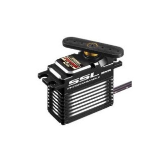 Sanwa PGS-XRII [107A54564B]